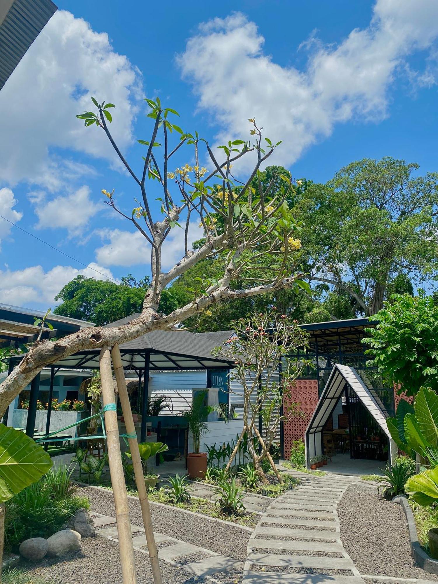 The Jungle Hostel Canggu Exterior foto