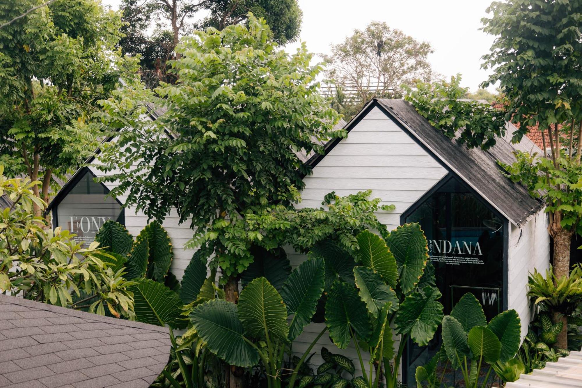 The Jungle Hostel Canggu Exterior foto